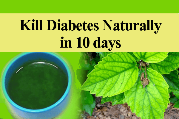 How To Cure Diabetes Naturally At Home Just In 10 Days Right Home Remedies