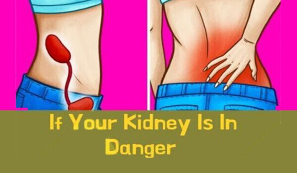 Bad Habits that Damage Your Kidneys