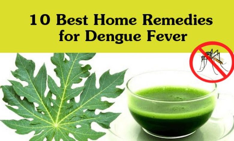 Best Home Remedies for Dengue Fever