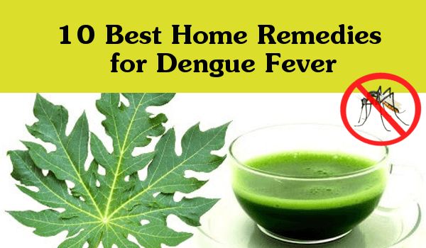Best Home Remedies for Dengue Fever