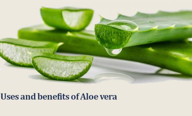 How to use Aloe vera for Hair