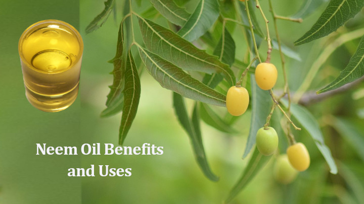 Neem Oil Benefits