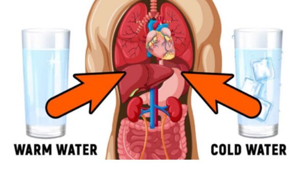 Benefits of drinking warm water