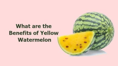 What are the Benefits of Yellow Watermelon