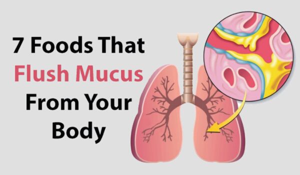 foods that help clear mucus