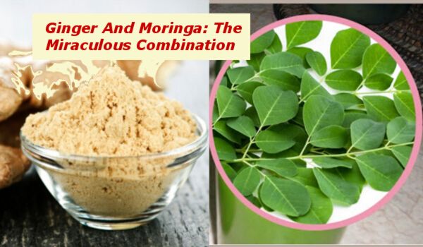 Ginger And Moringa: The Miraculous Combination That Fights The Deadliest Diseases!