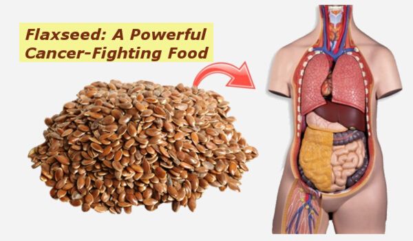 What Happens To Your Body When You Eat Flax Seeds Everyday