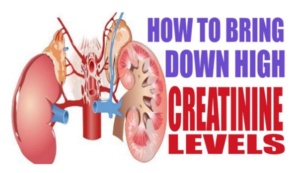 16 Easy Ways to Reduce Creatinine Level Fast and Improve Kidney Health