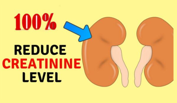 16 Easy Ways To Reduce Creatinine Level Fast And Improve Kidney Health