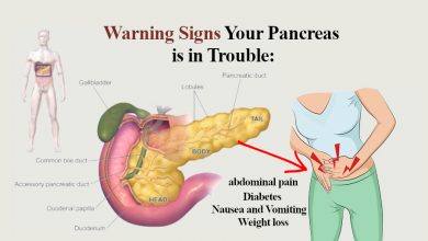 what does the pancreas do