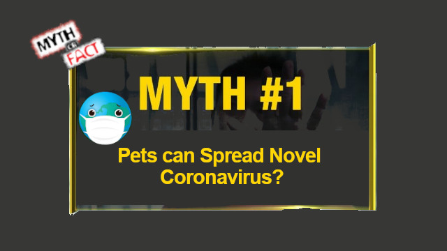 Facts about the Coronavirus