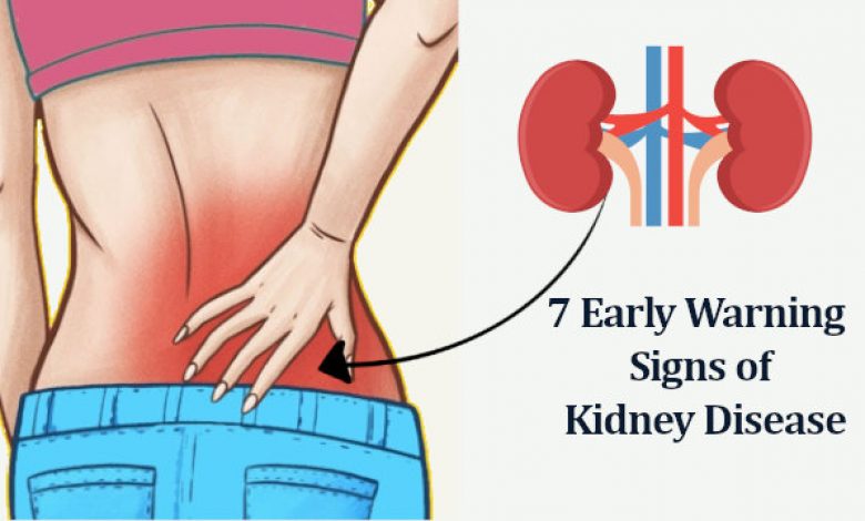 7-early-signs-and-symptoms-of-kidney-disease-problems