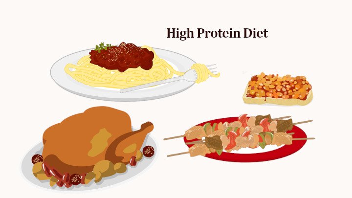  High Protein Diet