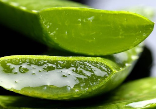 How to get rid of Acne Scars with aloe vera