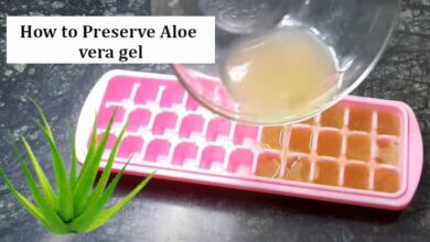 How to Preserve Aloe vera gel