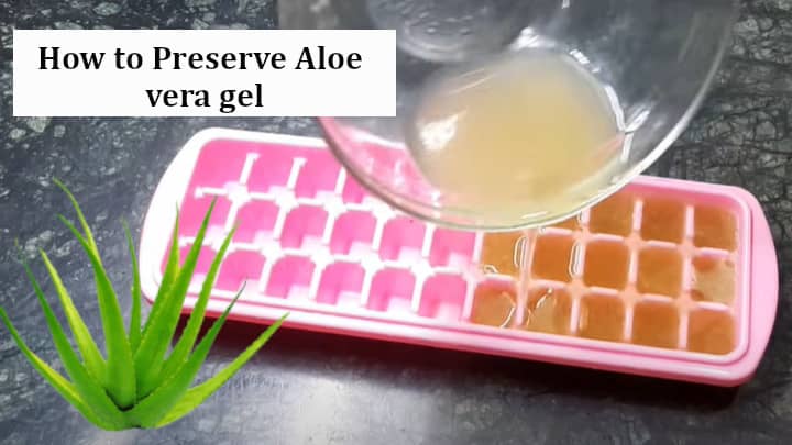 How to Preserve Aloe vera gel