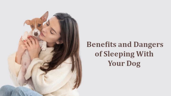 Health Benefits and Dangers of Sleeping With Your Dog