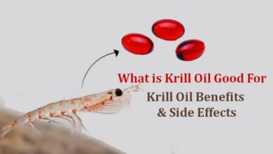 Krill Oil Benefits and Side Effects