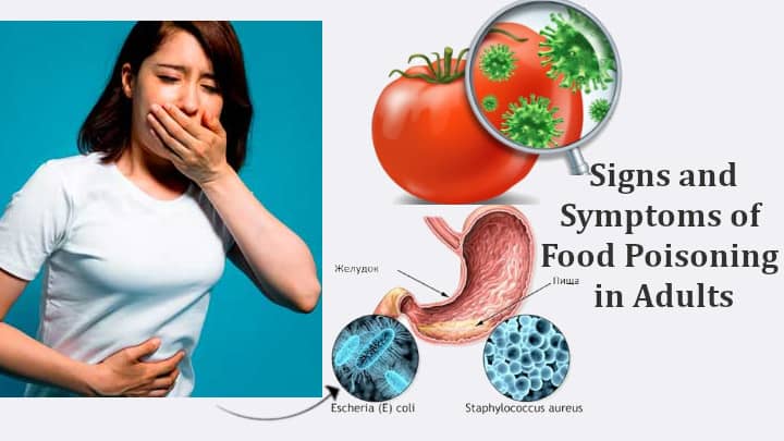 Signs and Symptoms of Food Poisoning in Adults