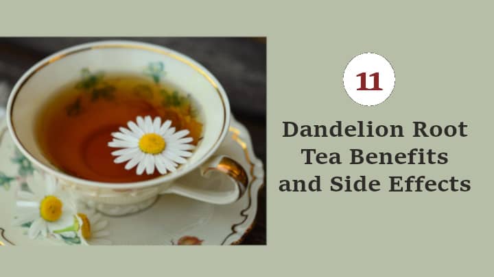 Dandelion Root Tea Benefits and Side Effects