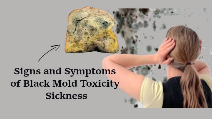Signs and Symptoms of Black Mold Toxicity Sickness