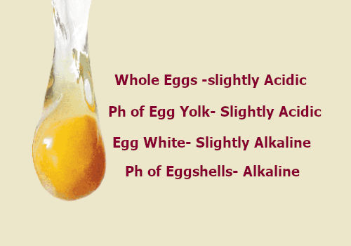 ph of egg white