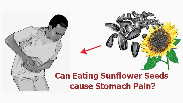 sunflower seeds stomach pain