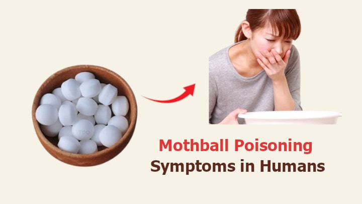 Mothball Poisoning Symptoms in Humans