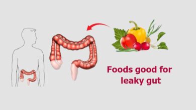 Foods good for Leaky gut
