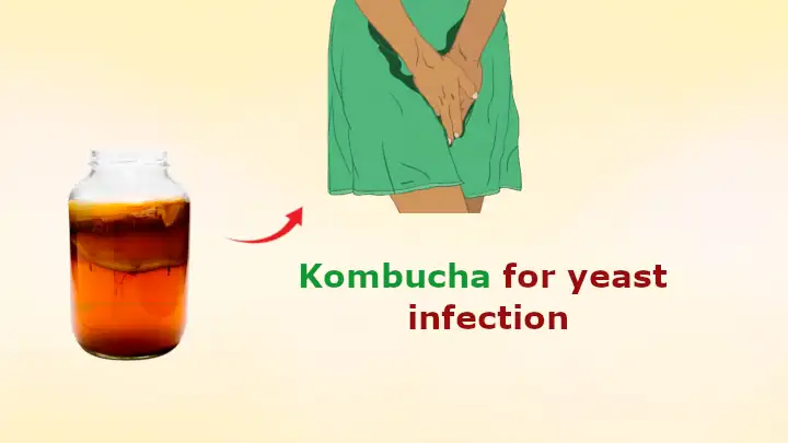 Kombucha for yeast infection