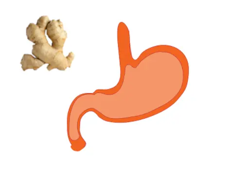 Ginger for Stomach acid