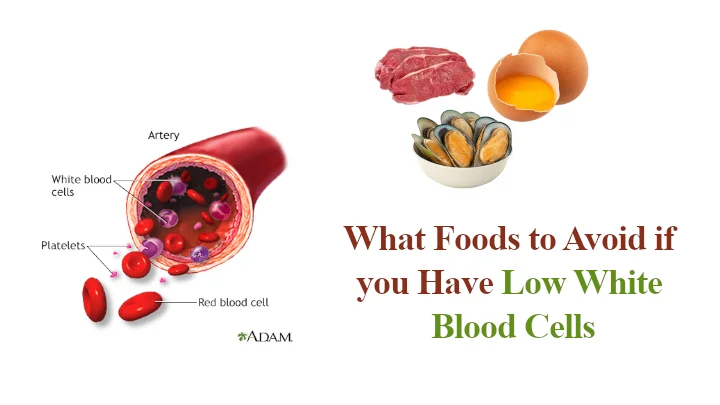 What Foods to Avoid if you Have Low White Blood Cells