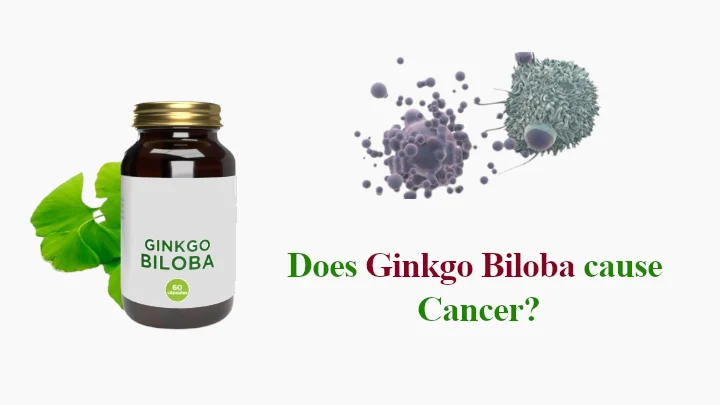 Does Ginkgo Biloba cause Cancer