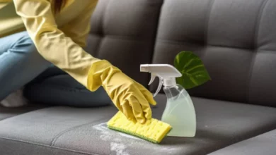 Eco-Friendly Couch Cleaning Solutions