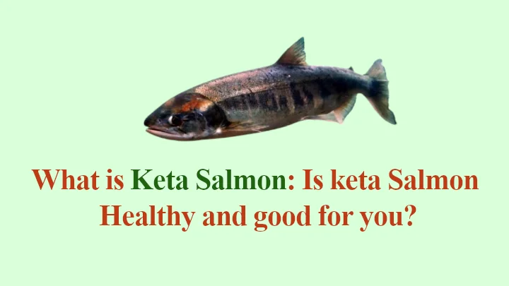 What is Keta Salmon: Is keta Salmon Healthy and good for you
