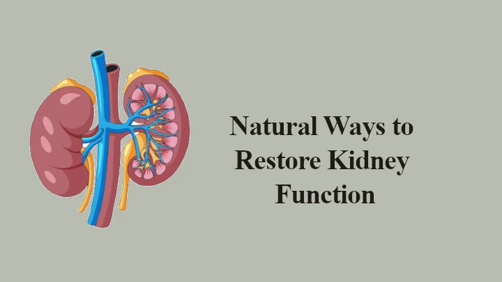 Natural Ways to Restore Kidney Function