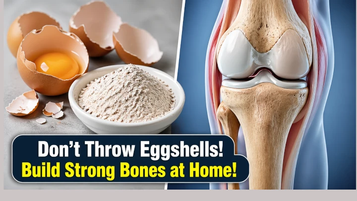 Eggshells! Build Strong Bones at Home!