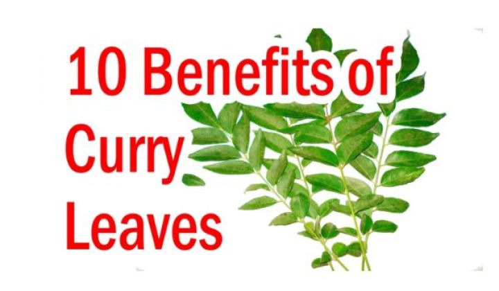 10 Surprising Uses And Benefits Of Curry Leaves You Must Know - Right 