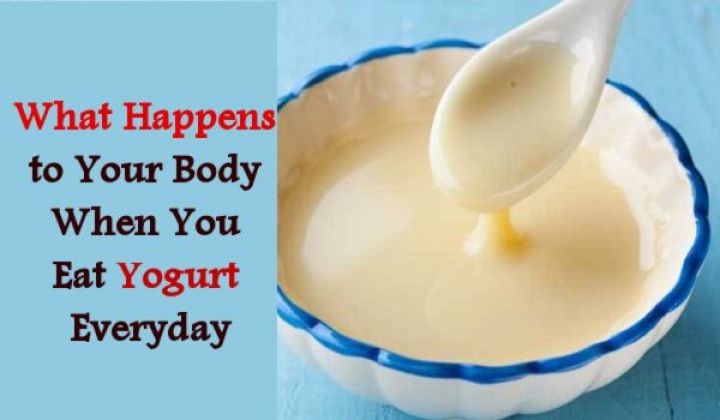 What Happens to Your Body When You Eat Yogurt Everyday Right Home 